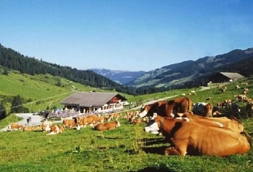 Hotelli Haus Waldblick