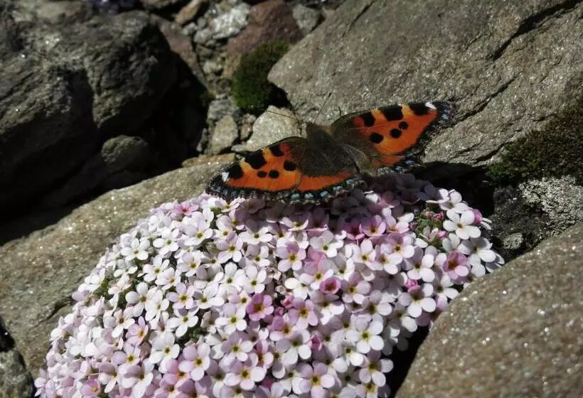 ホテル Klampererhof