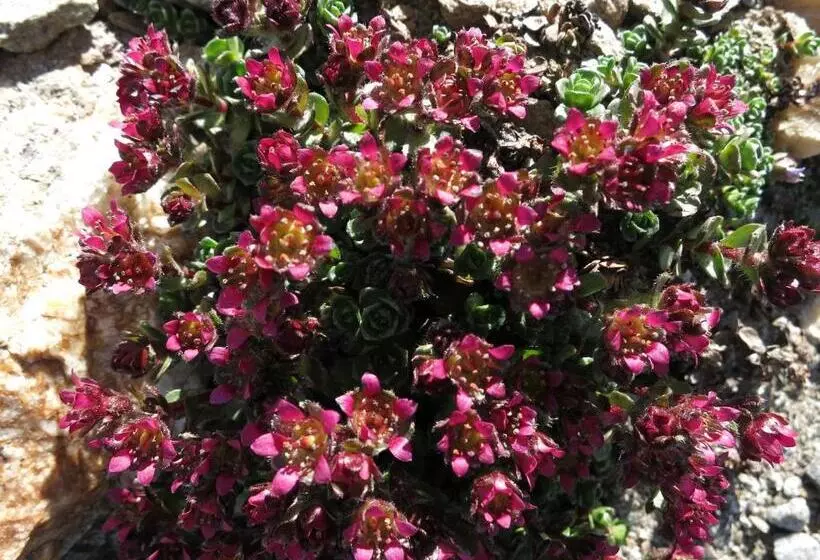 ホテル Klampererhof
