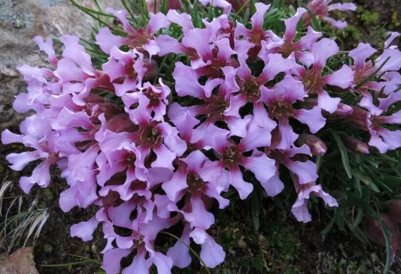 ホテル Klampererhof