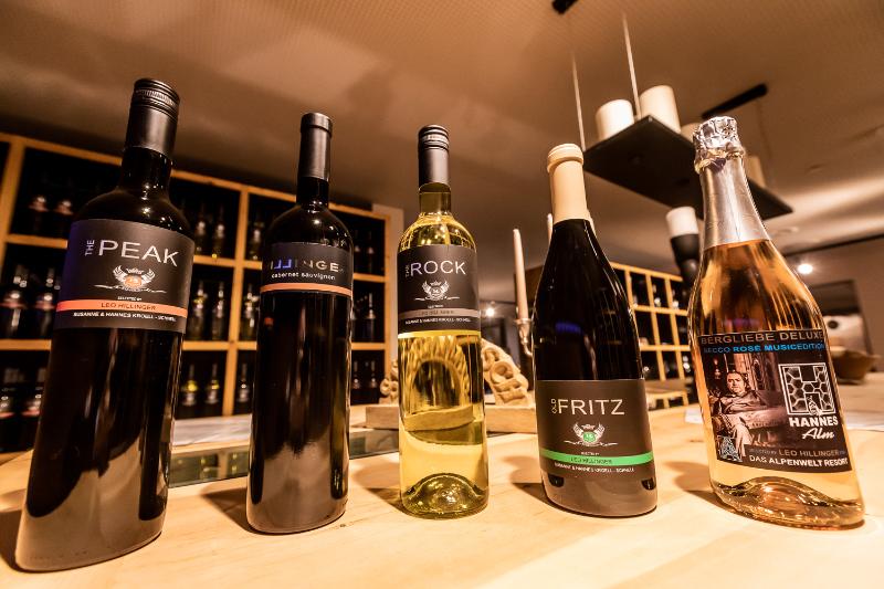 酒店 My Alpenwelt Resort