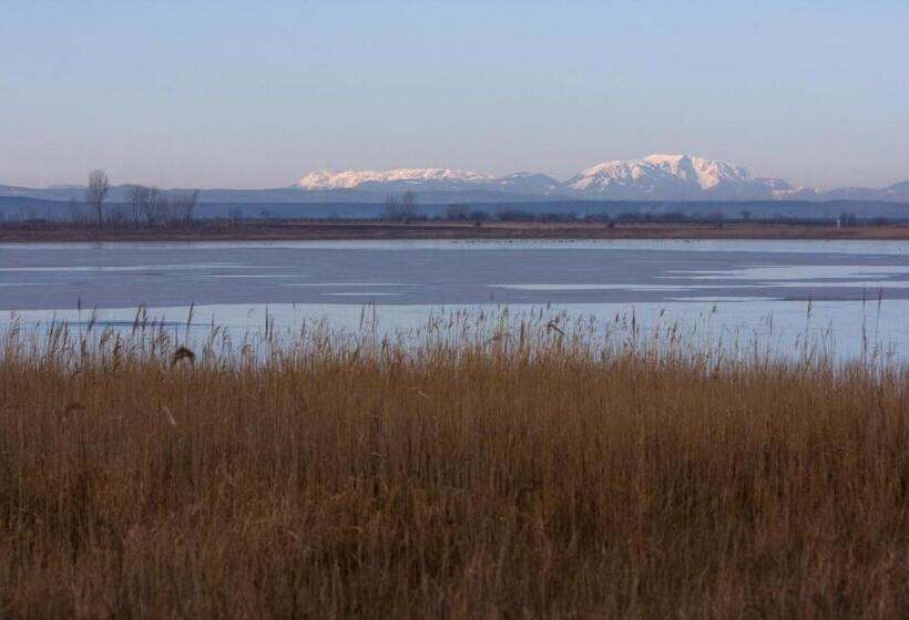 Отель Scheiber Wein & Gästehaus