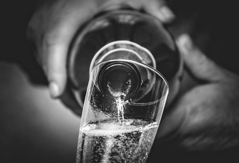 호텔 Villa Haidacher