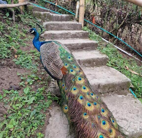 צימר Goyava   Chambre Familiale