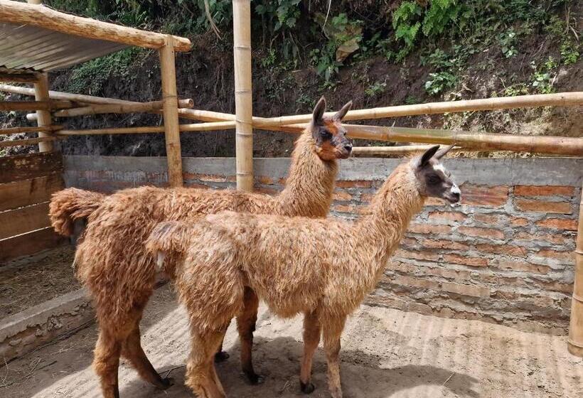 צימר Goyava   Chambre Familiale