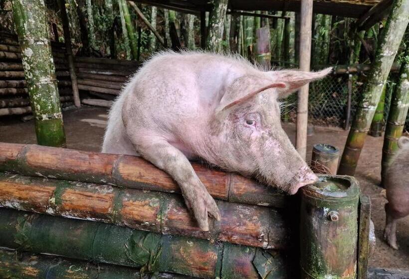 צימר Goyava   Chambre Familiale