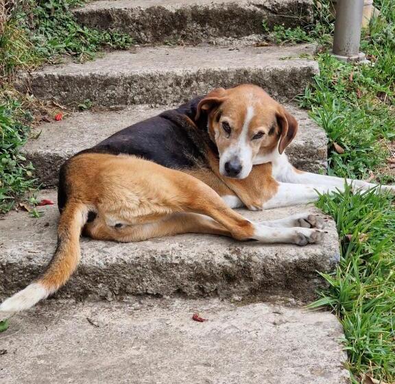 צימר Goyava   Chambre Familiale