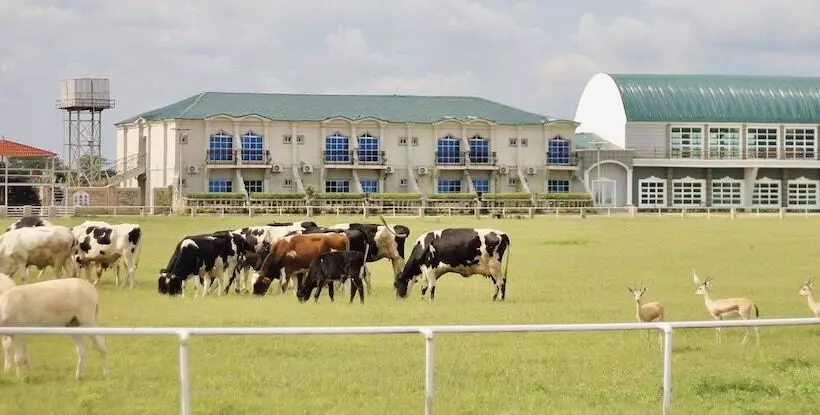 Porto Golf Hotel And Suites Kano