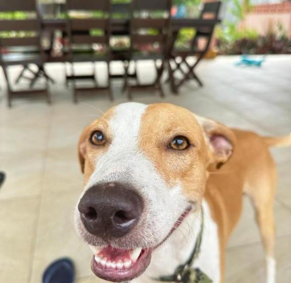 Hostel Pousada Casa Eco Paracuru