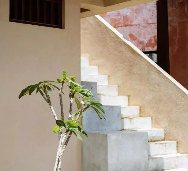 Aamiaismajoitus (B&B) Samba Ahangama