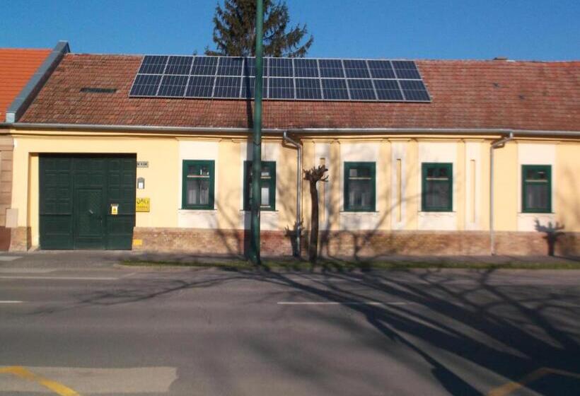 مبيت وإفطار Vali Vendégház