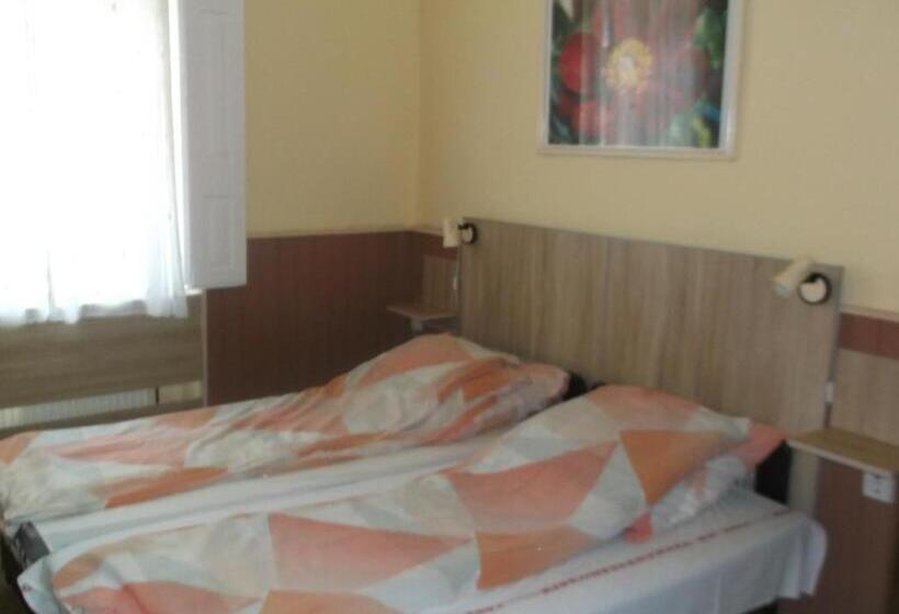 مبيت وإفطار Vali Vendégház