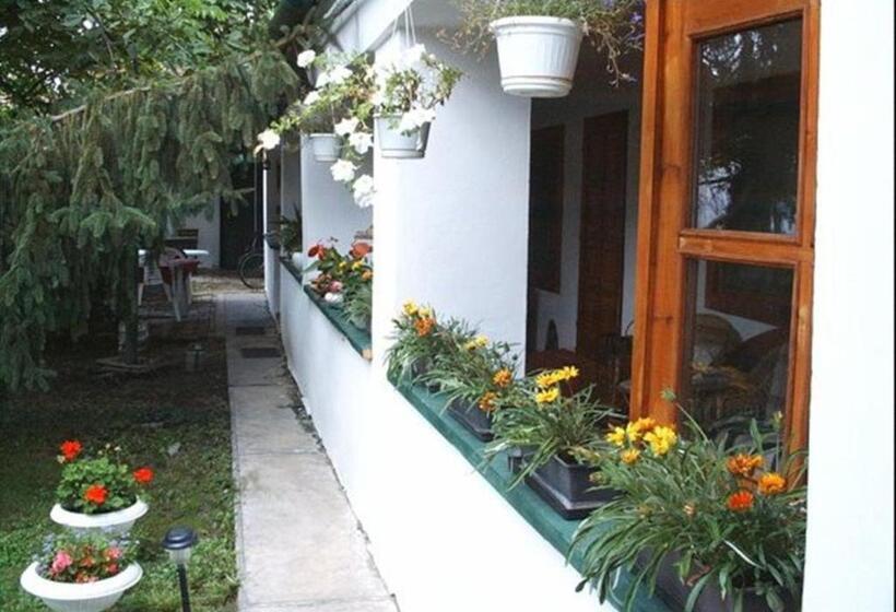 مبيت وإفطار Vali Vendégház