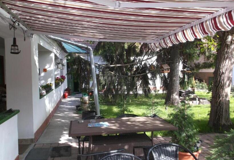 مبيت وإفطار Vali Vendégház