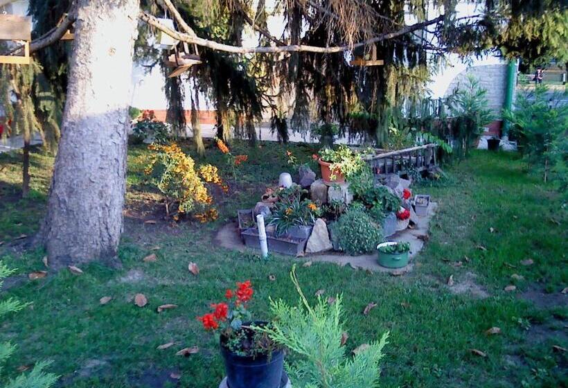 مبيت وإفطار Vali Vendégház