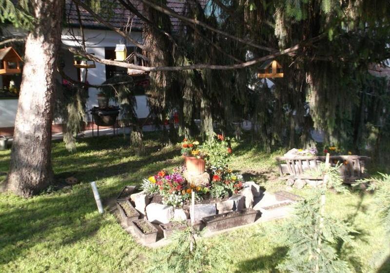 مبيت وإفطار Vali Vendégház