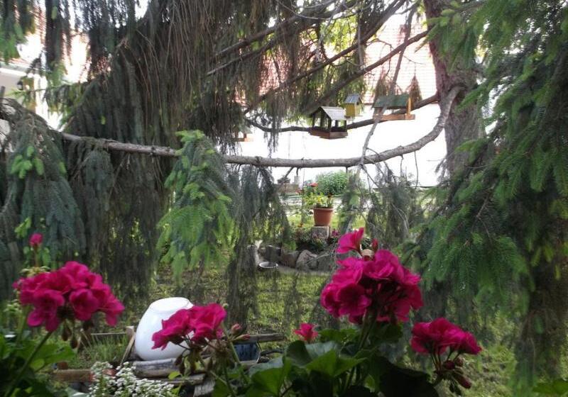 مبيت وإفطار Vali Vendégház