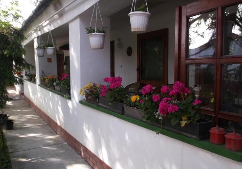 مبيت وإفطار Vali Vendégház