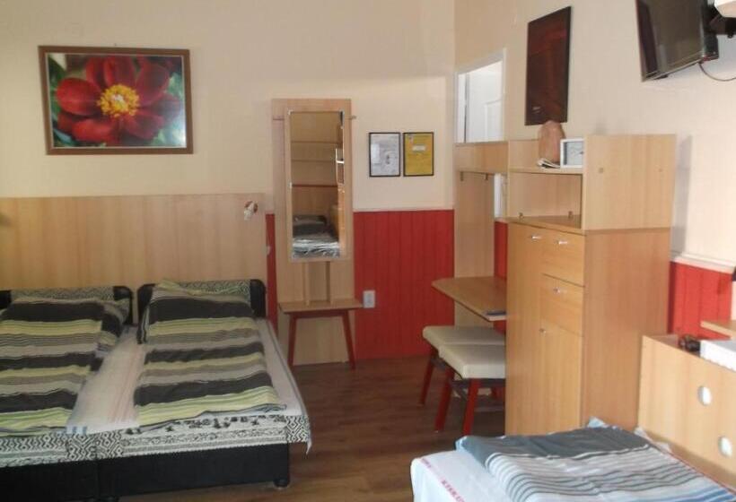 مبيت وإفطار Vali Vendégház