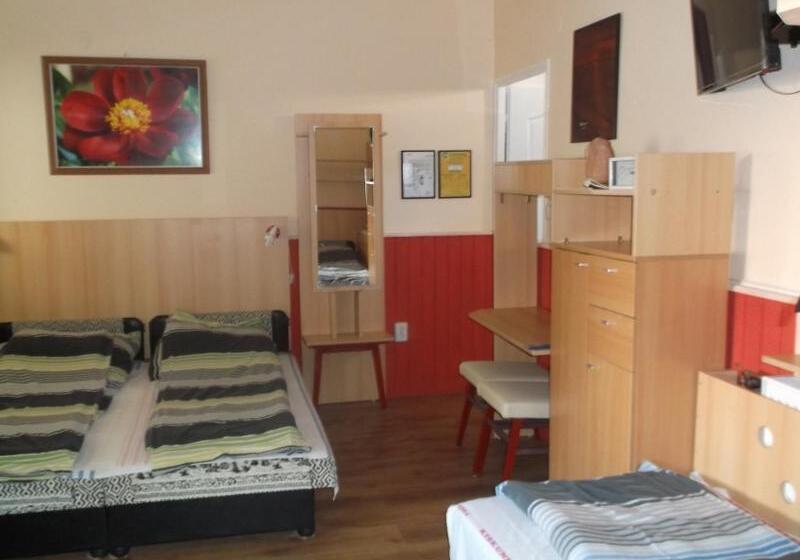 مبيت وإفطار Vali Vendégház