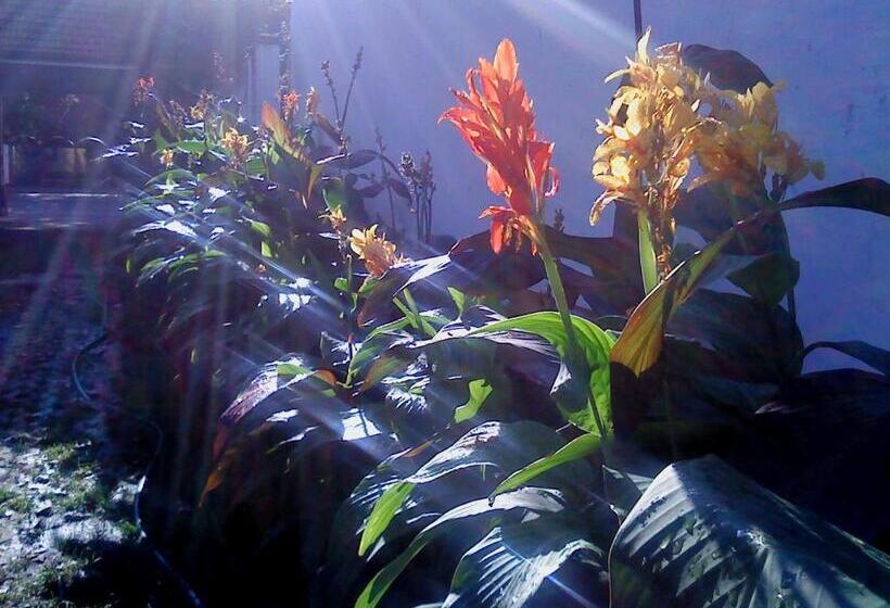 مبيت وإفطار Vali Vendégház