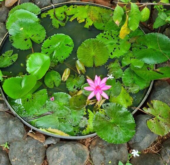 فندق Ns Brothers Farm & Resort