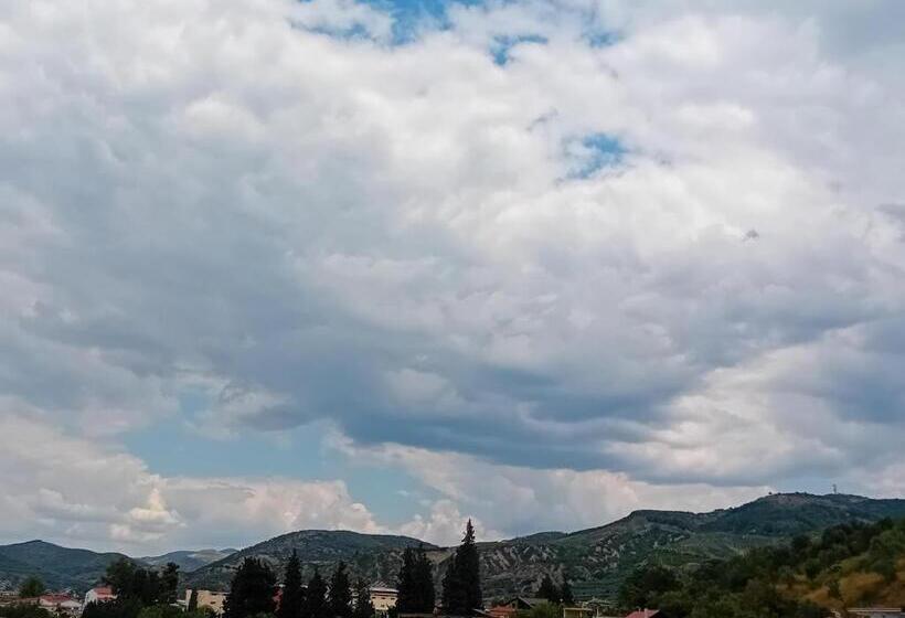 پانسیون Guest House Irvin