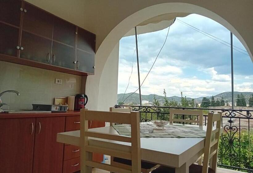 پانسیون Guest House Irvin