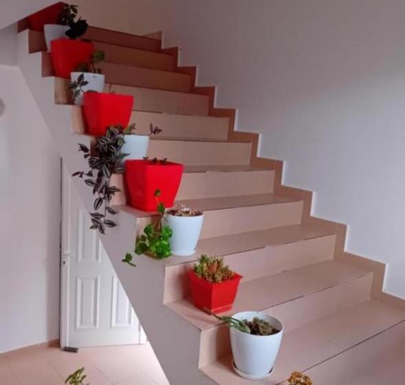 پانسیون Guest House Irvin