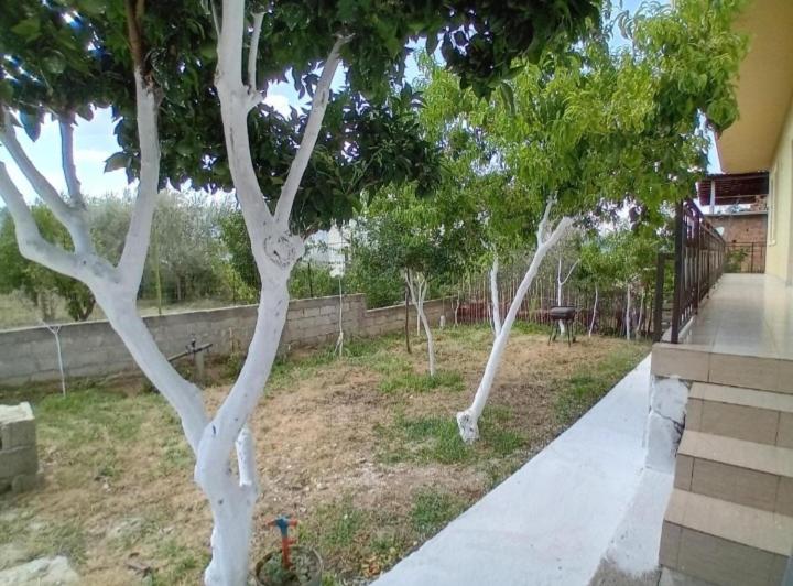 پانسیون Guest House Irvin