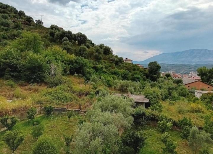 پانسیون Guest House Irvin