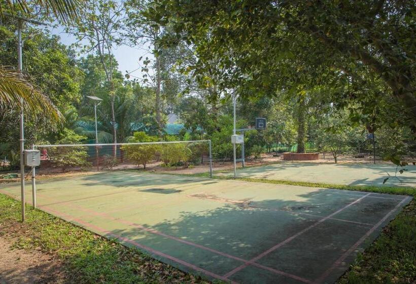 Pensão Jansons Orchard Inn