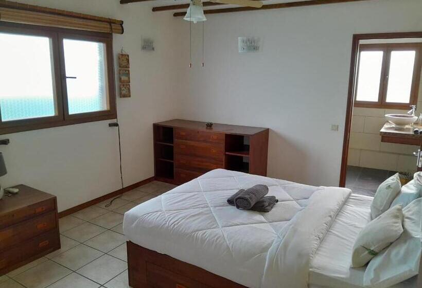 Pension La Caze Roche Maison D Hôtes