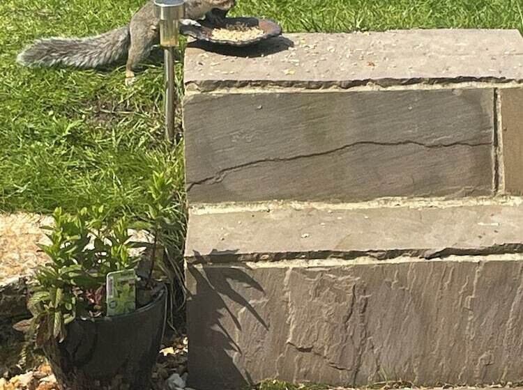 Bed and Breakfast Lakeview Studios