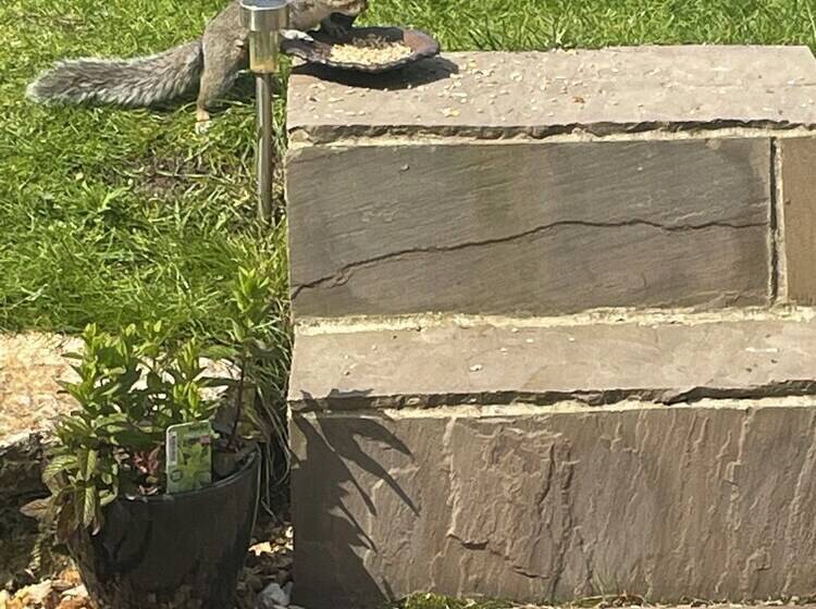 Bed and Breakfast Lakeview Studios