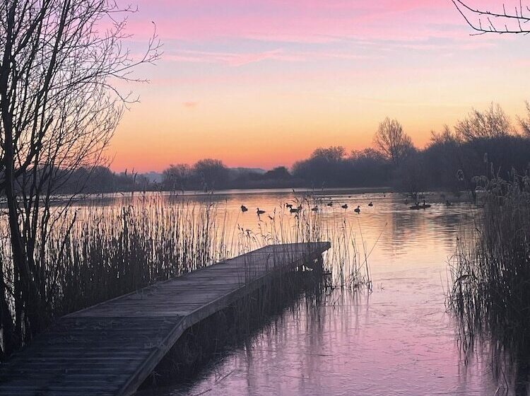 Bed and Breakfast Lakeview Studios