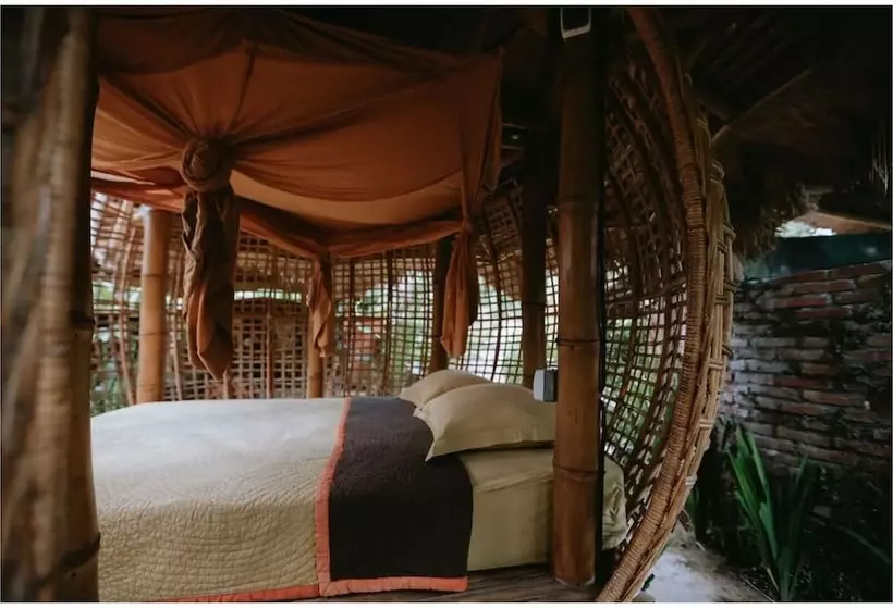 ホテル Firefly Eco Lodge