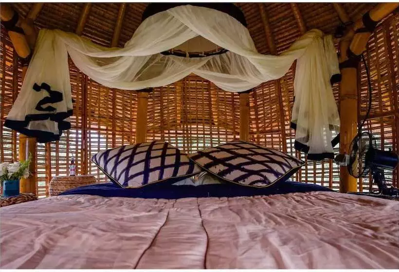 ホテル Firefly Eco Lodge