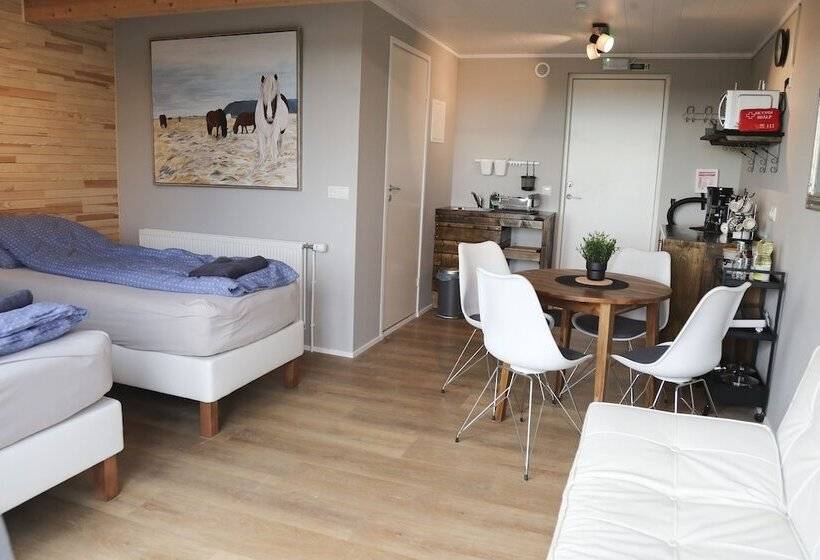 پانسیون áshamrar