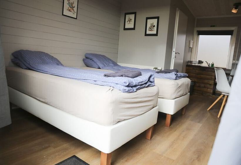 پانسیون áshamrar