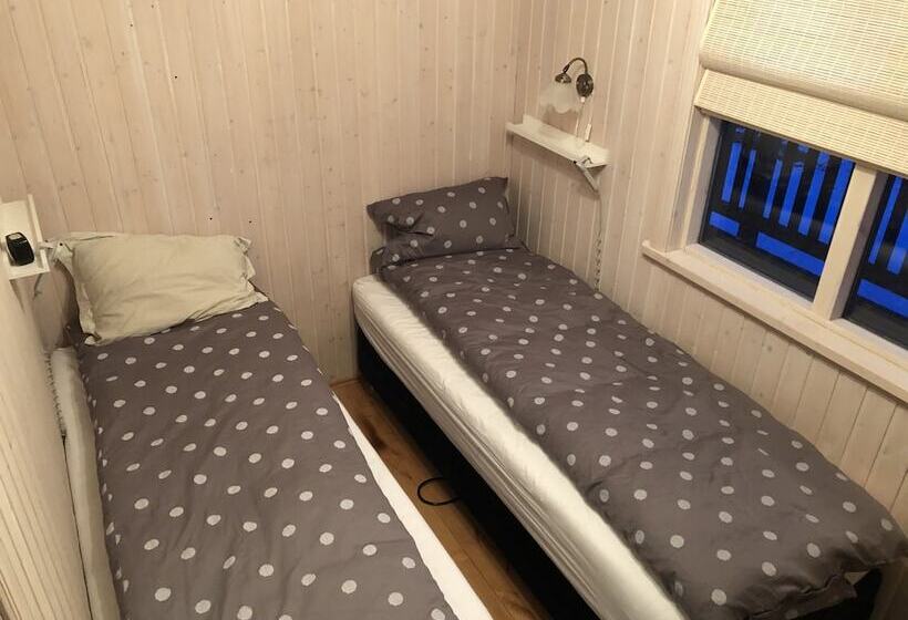 پانسیون áshamrar