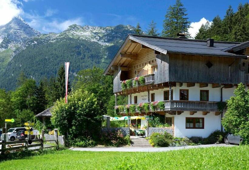 ユースホステル Gasthof Pension Lohfeyer