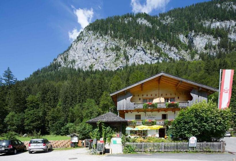 ユースホステル Gasthof Pension Lohfeyer