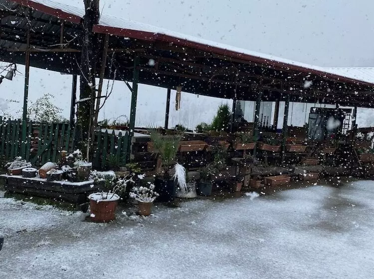 Aamiaismajoitus (B&B) Karadeniz Kus Cenneti Otel