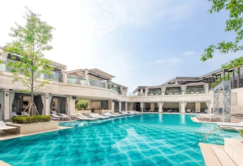 호텔 Art Paradiso, Paradise City