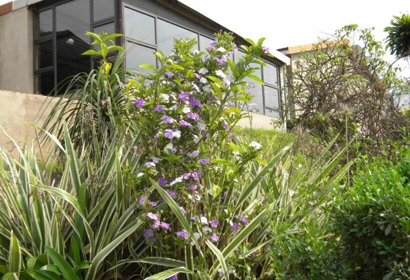 فندق Ezweni Lodge