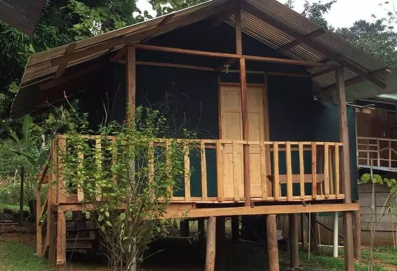 ホテル Jungle Drake