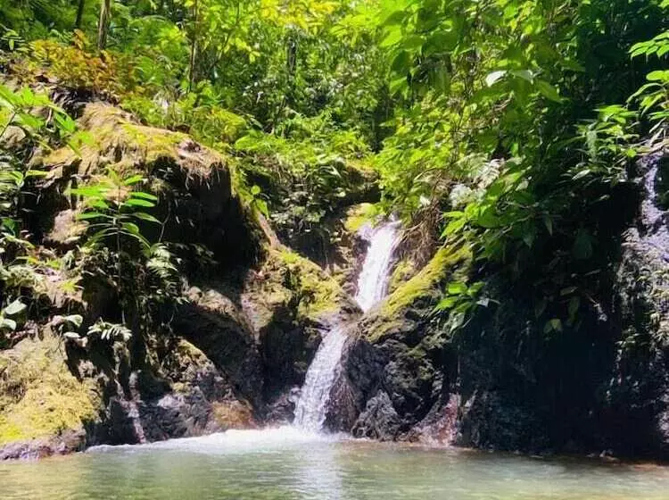 ホテル Jungle Drake