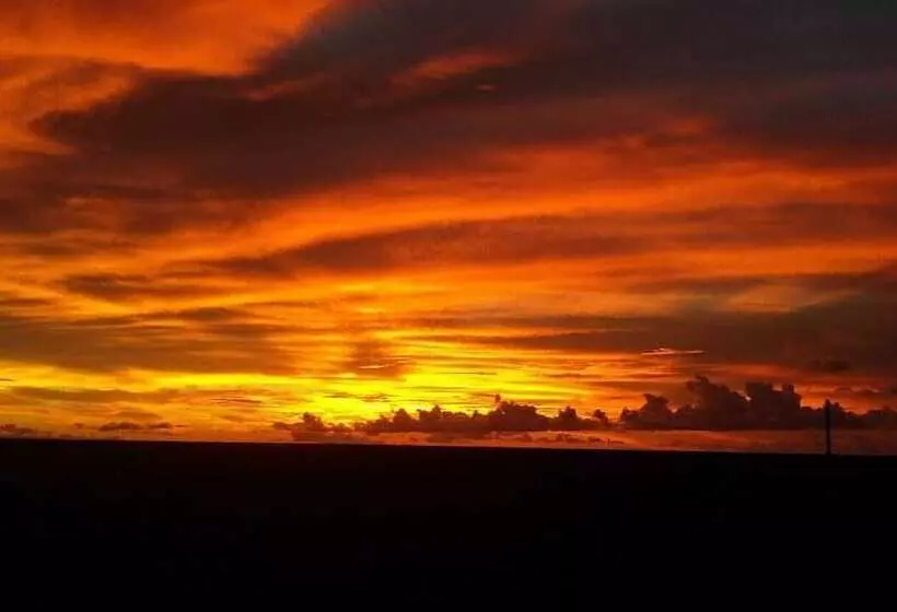 ホテル Jungle Drake