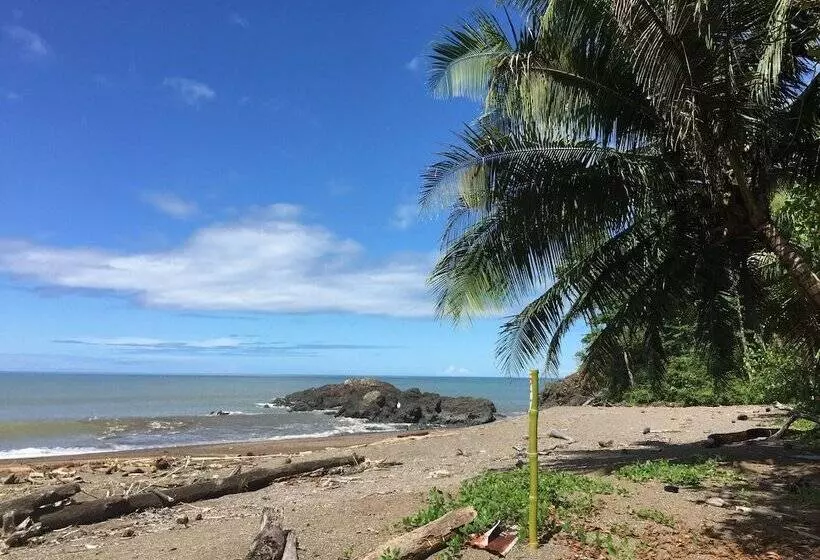 ホテル Jungle Drake